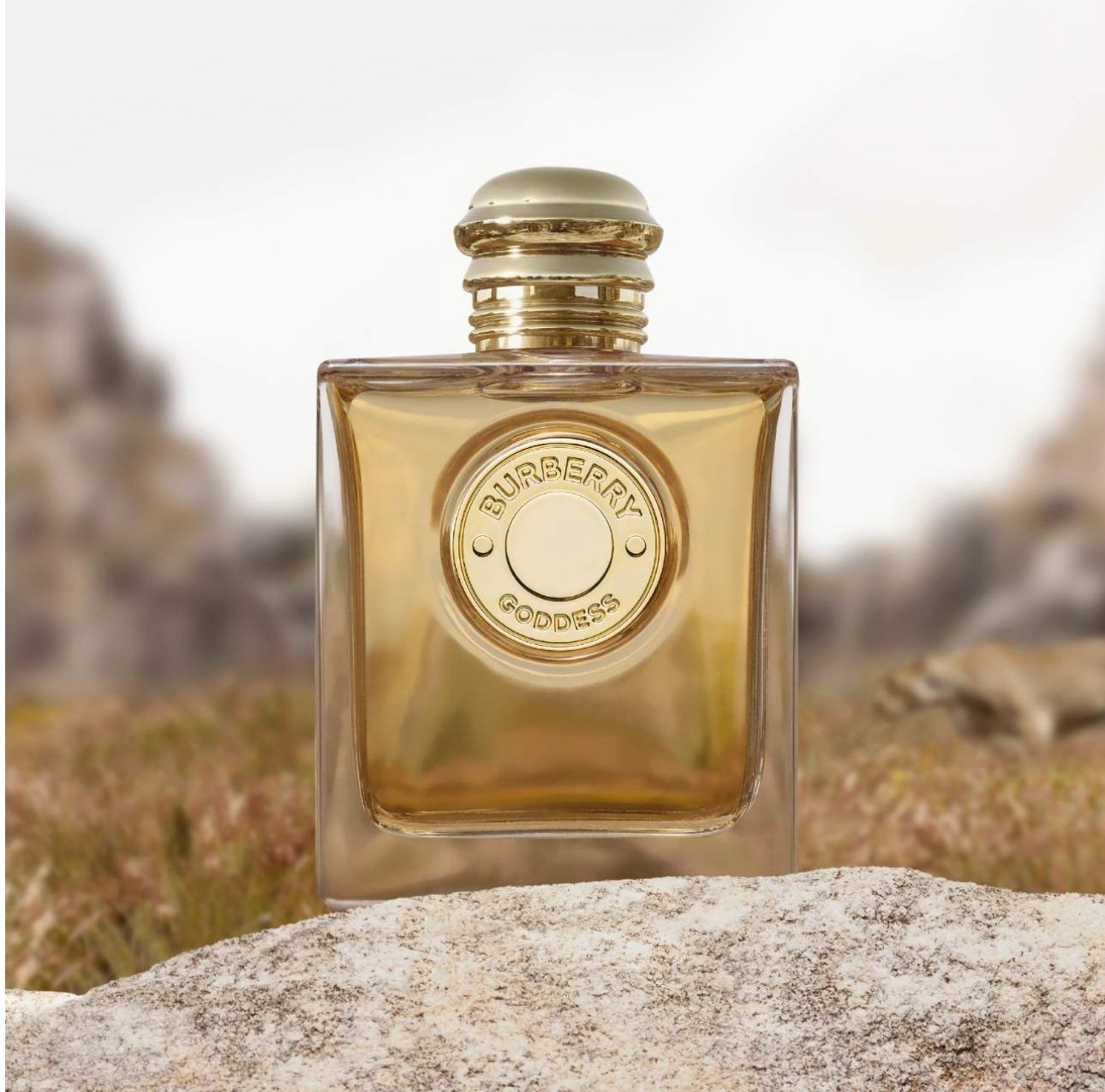 Burberry Goddess Eau de Parfum Intense – 100 ml (Mujer) - Image 4